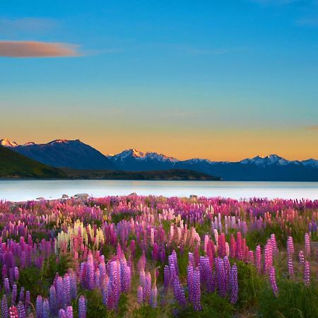 Lake Views At Antler Lodge Lake Tekapo Eksteriør billede