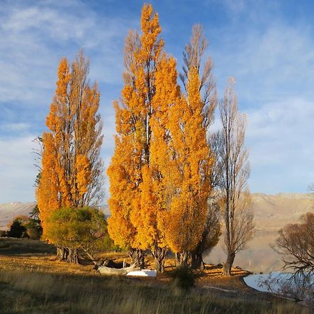 Lake Views At Antler Lodge Lake Tekapo Eksteriør billede