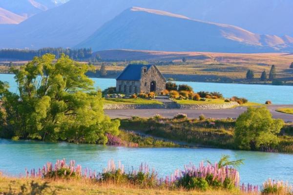 Lake Views At Antler Lodge Lake Tekapo Eksteriør billede