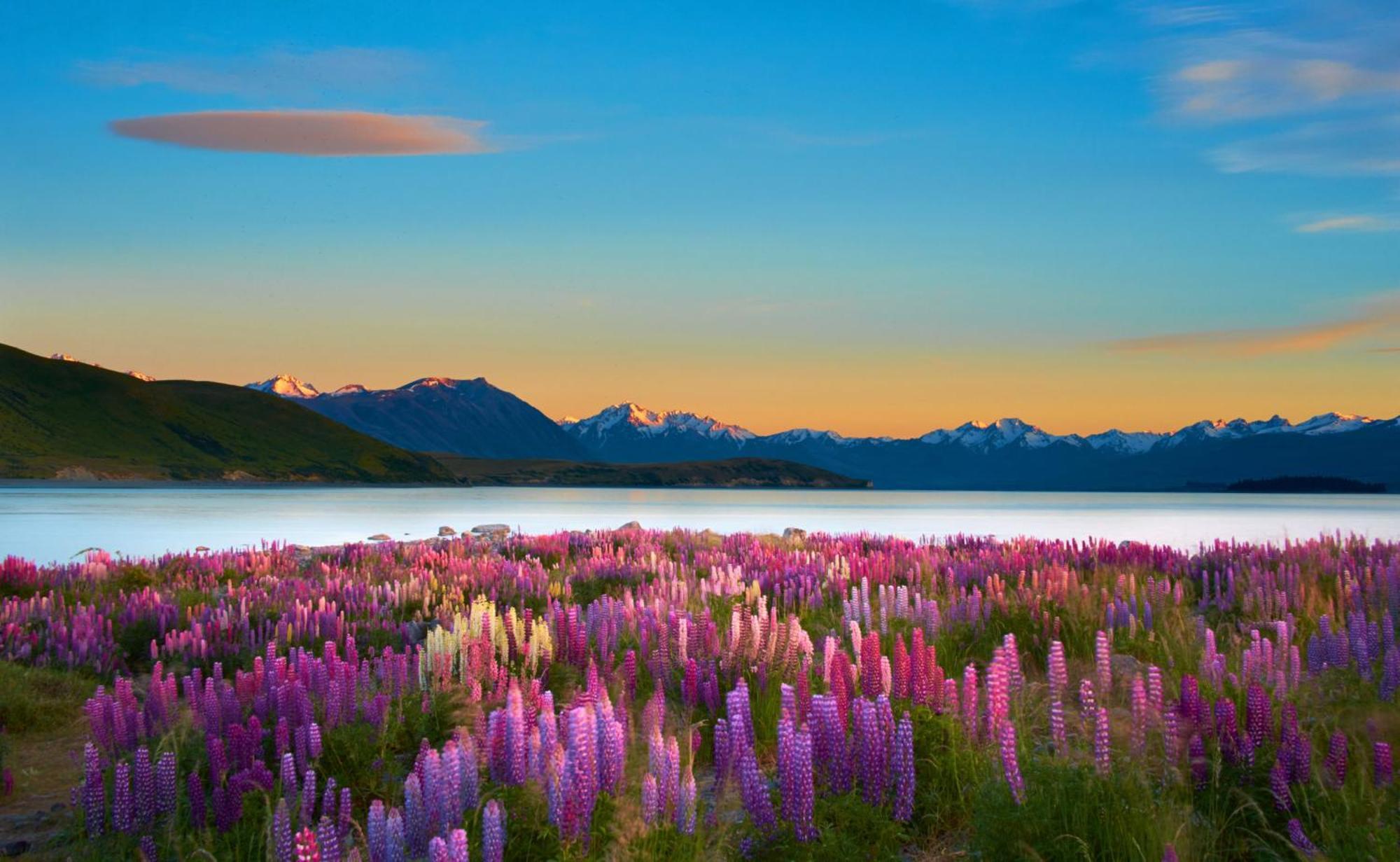 Lake Views At Antler Lodge Lake Tekapo Eksteriør billede